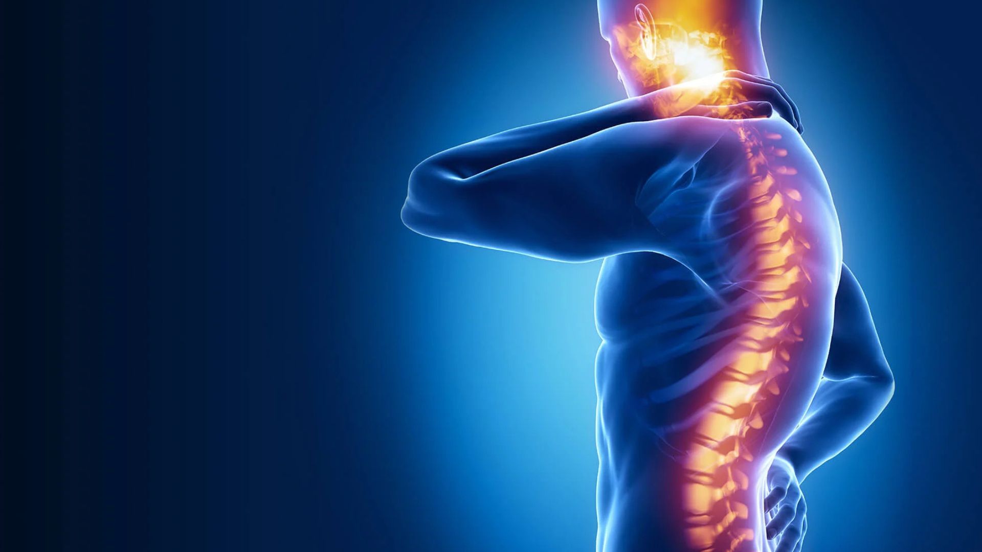 Understanding Spinal Cord Disorders